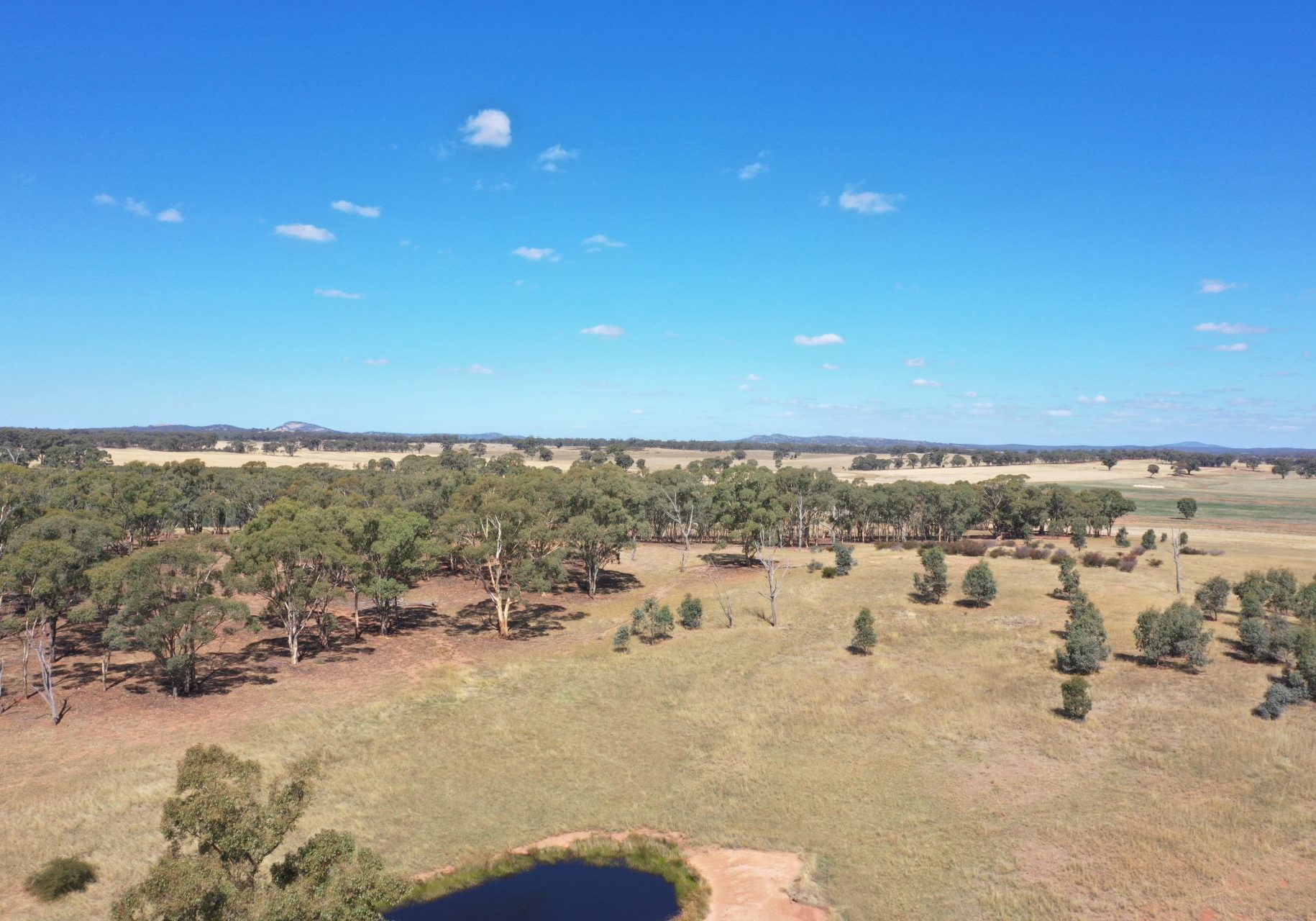 DJI 0507 DJI 0507