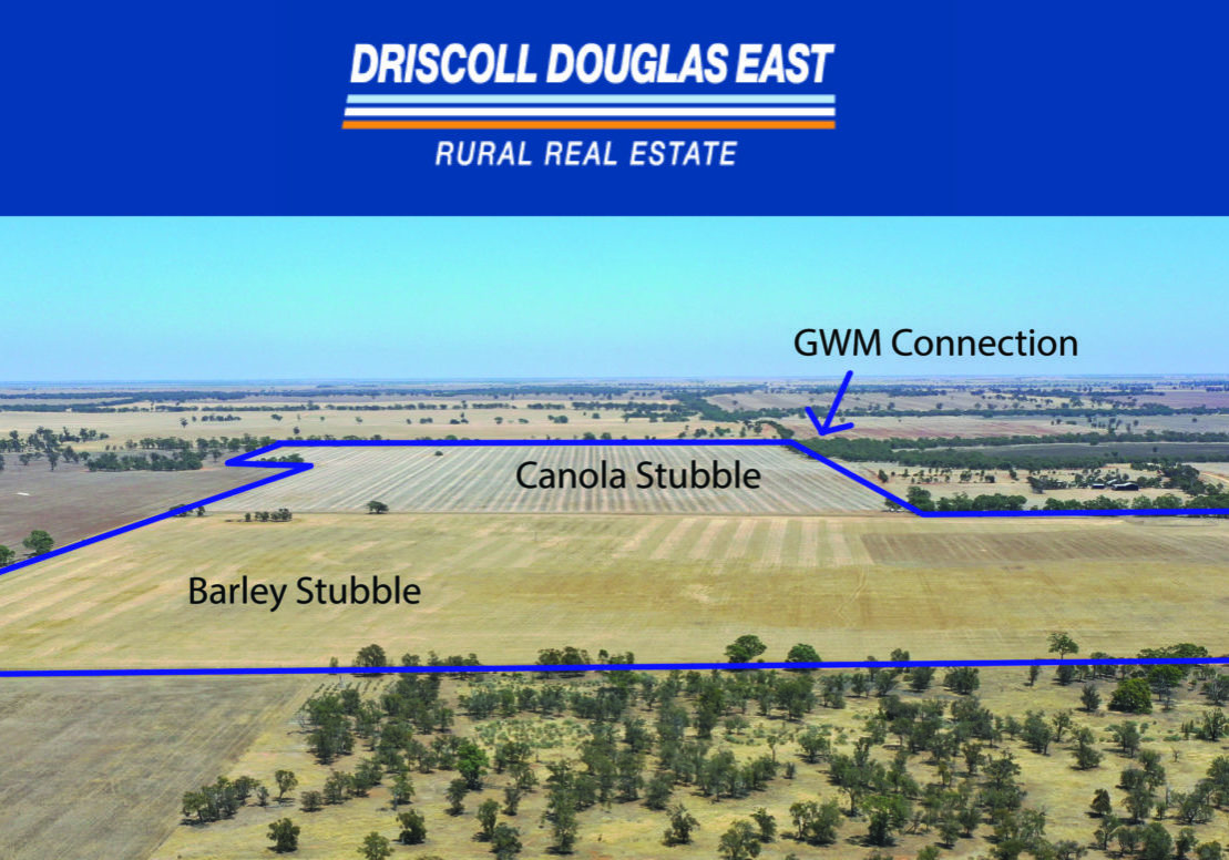 Land For Sale Driscoll Douglas East Rural Real Estate